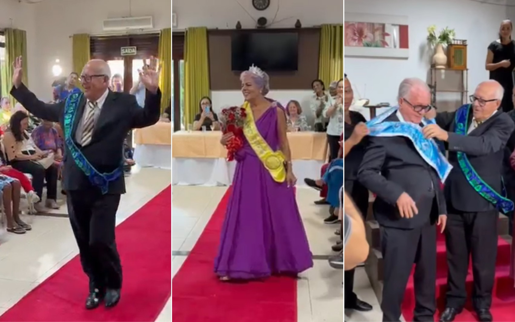 'Belavó' e 'Gato Grisalho': abrigo de Salvador promove concurso de beleza da terceira idade