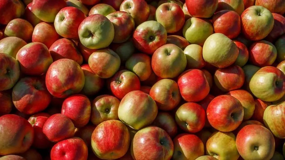 Passamos a vida ouvindo que 'uma maçã por dia mantém o médico longe', mas será que a fruta realmente traz benefícios fora do comum para a nossa saúde? — Foto: GETTY IMAGES via BBC