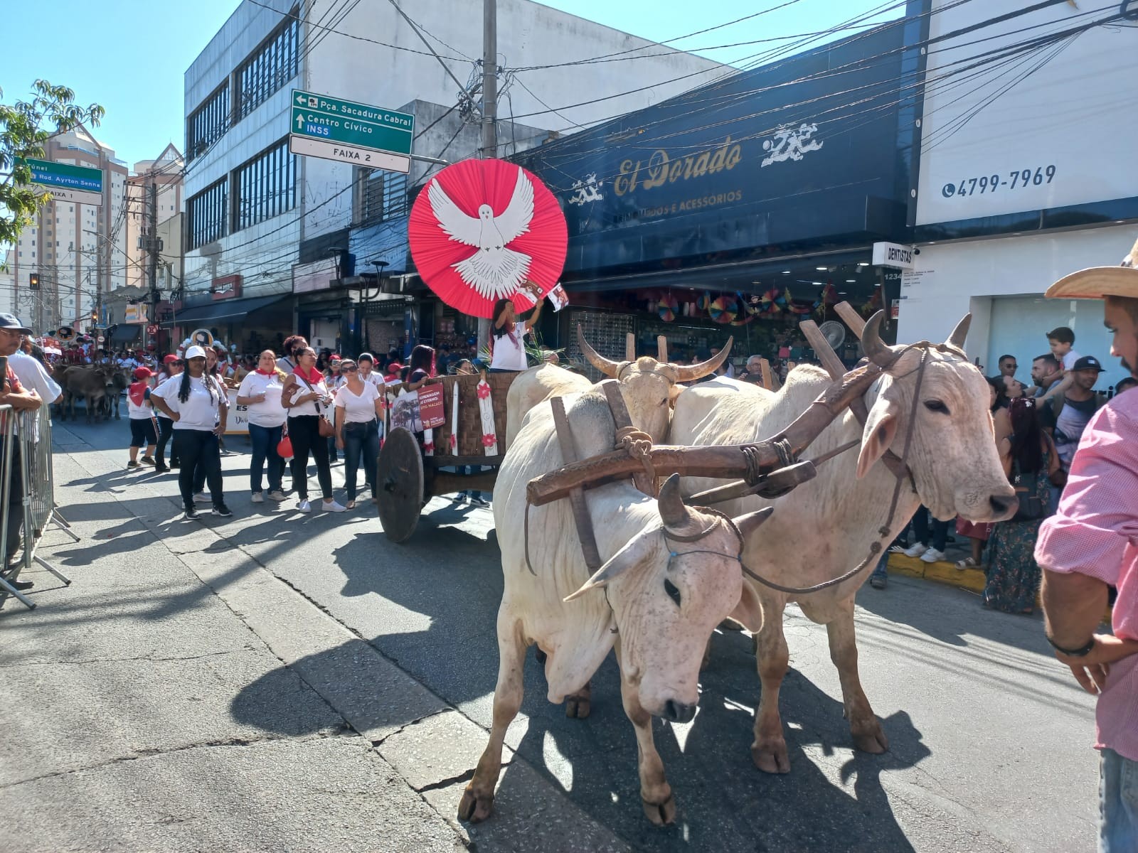 Mais de 50 mil pessoas devem assistir a Entrada dos Palmitos neste sábado em Mogi das Cruzes