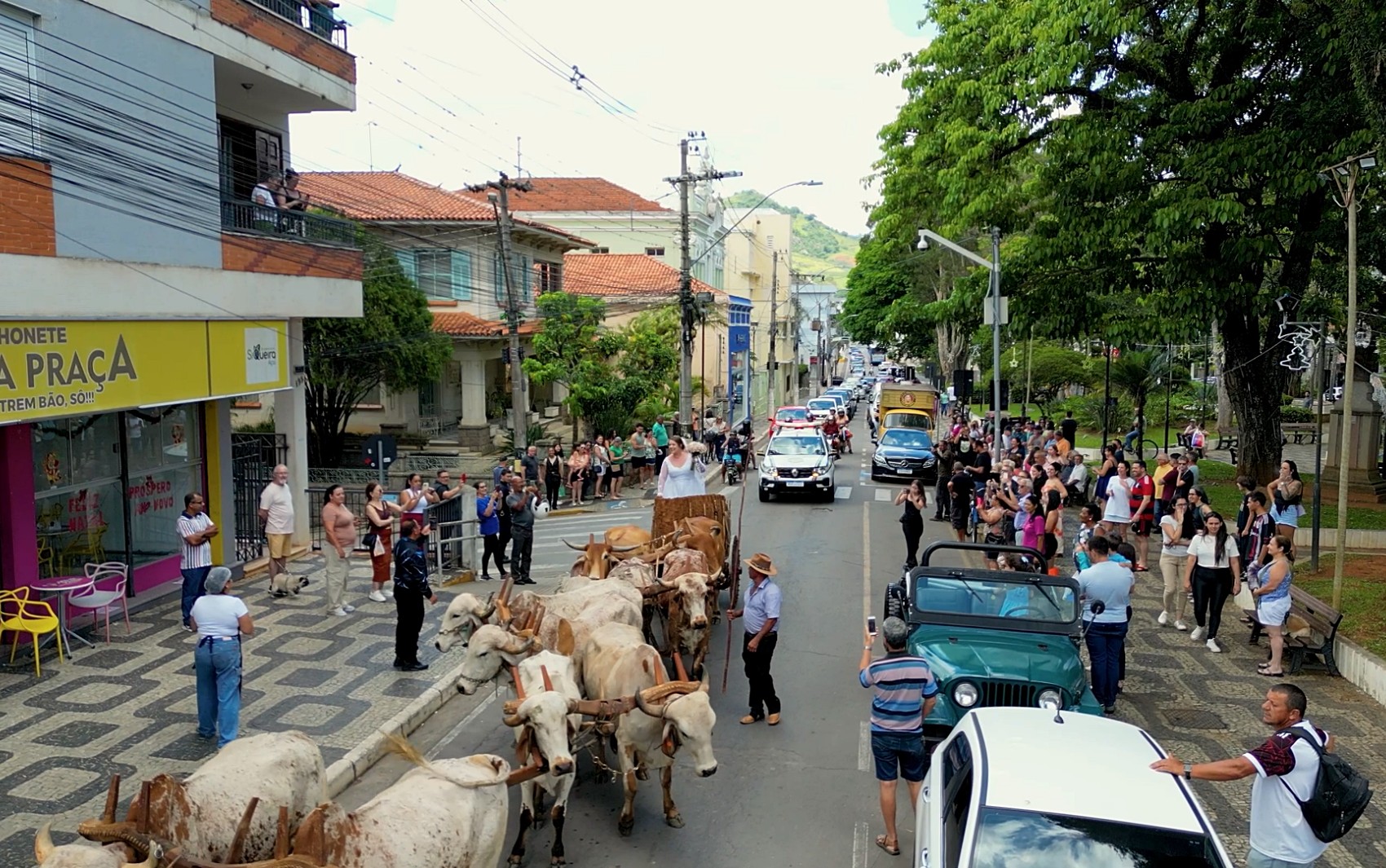 Carro de boi vira 'carro da noiva' e casamento viraliza em MG