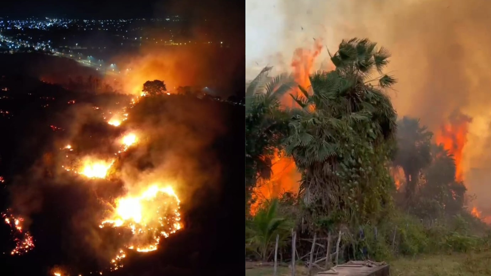 Incêndios aumentam no Piauí e brigadistas se destacam na linha de frente