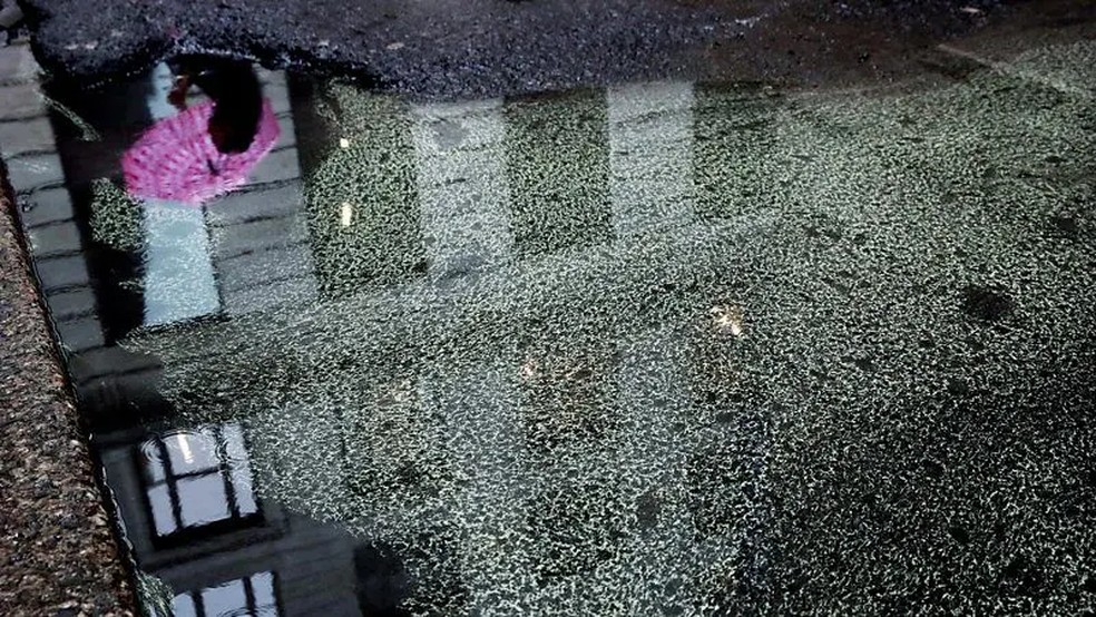 Com o aumento da quantidade de pólen no ar devido às mudanças climáticas, os cientistas preveem o agravamento das alergias sazonais | Foto: Getty Images via BBC