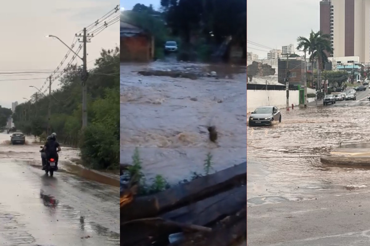 VÍDEO: temporal alaga casas, derruba árvores e causa transtornos no trânsito em Cuiabá e Várzea Grande (MT)