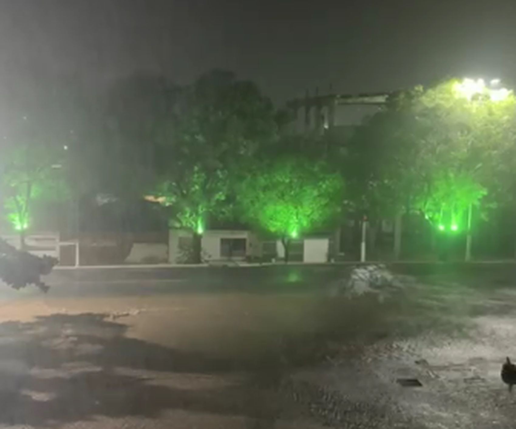 Chuva forte causa alagamentos e deixa família desalojada em Canindé de São Francisco