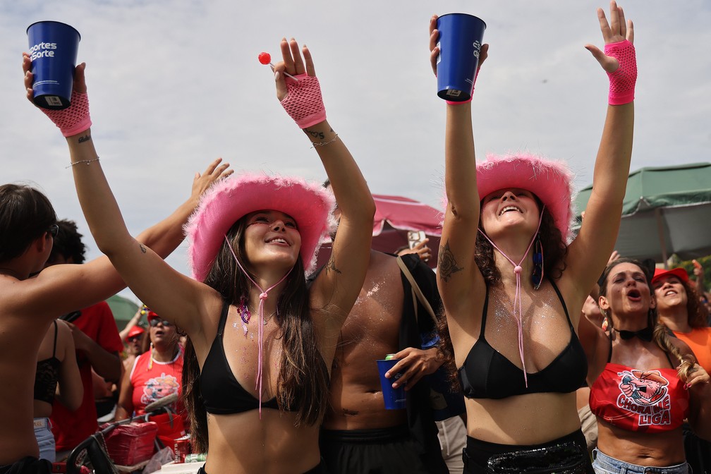 Foliões no Bloco Chora Me Liga, no Aterro do Flamengo, Zona Sul do Rio — Foto: Wagner Meier / Divulgação Riotur
