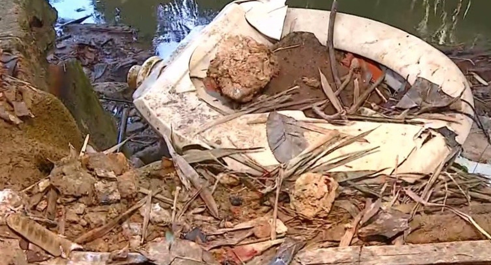 Bebê recém-nascido é encontrado às margens de córrego em área de descarte de lixo e polícia investiga 