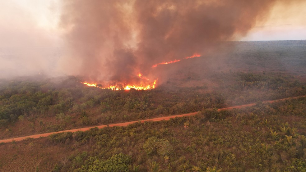 A informação foi confirmada pelo Instituto Raoni — Foto: Reprodução