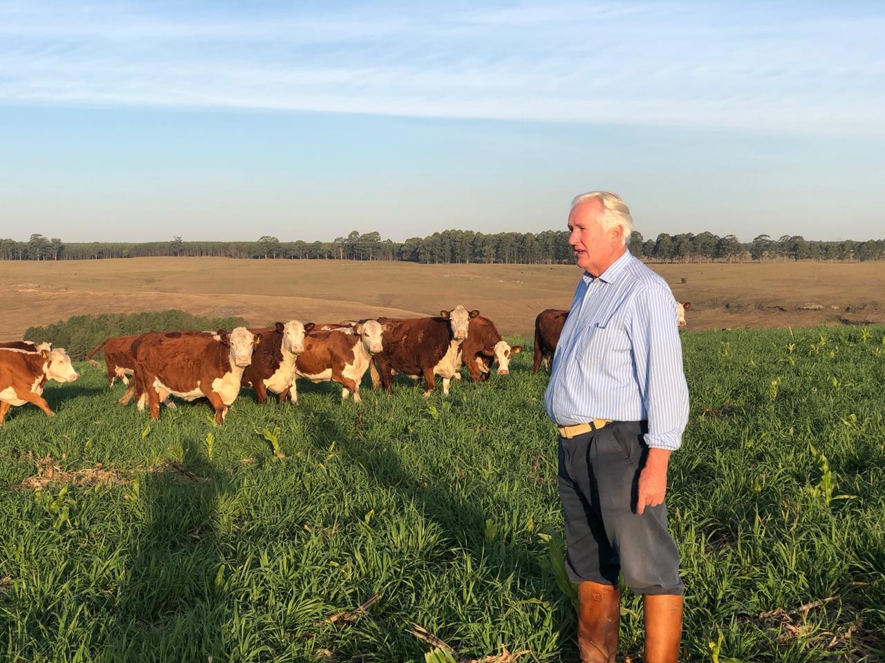 Aldo Vendramin: O legado familiar no agronegócio e tecnologia