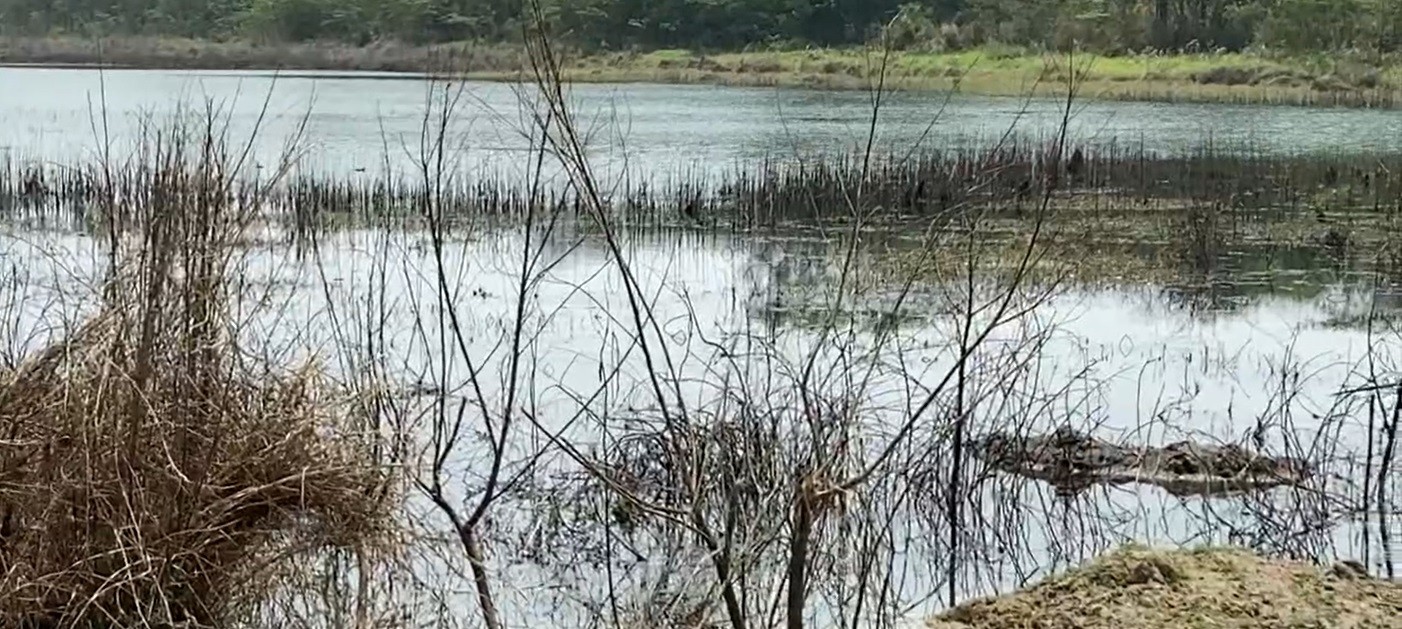 Represas de Rio das Pedras operam com 70% da capacidade de abastecimento e Serviço de Água pede uso consciente