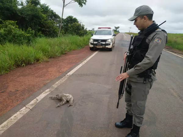 G1 - 'Pikachu ficaria envergonhado': polícia dá bronca em irlandês