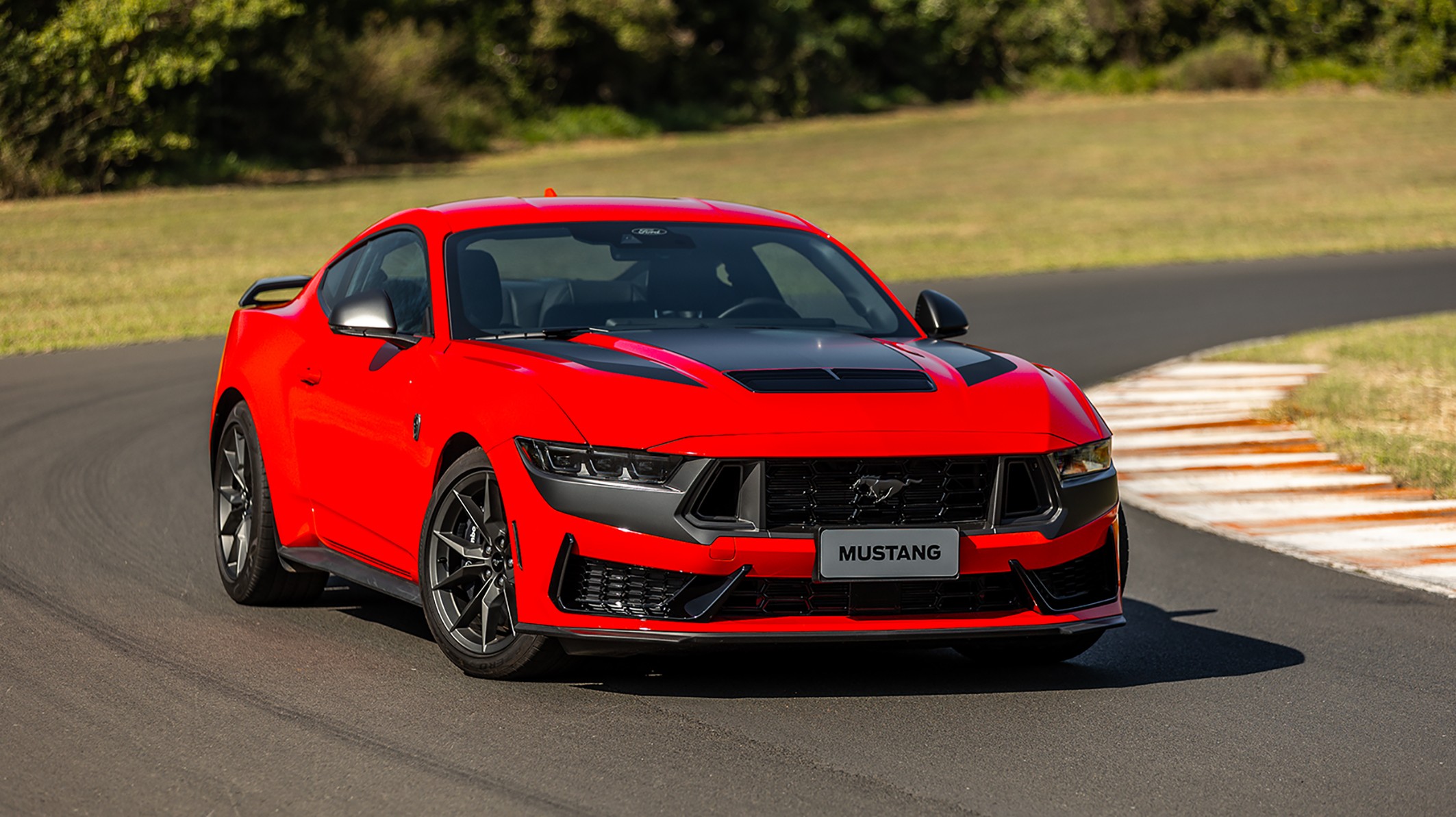 Mustang Black Draw Reins main image 1