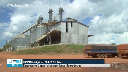 MP e empresa do agro fecham acordo após 10 anos de disputa para recuperar áreas degradadas