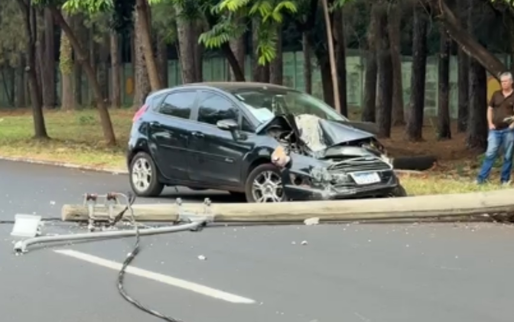 Jovem bate carro contra poste ao desviar de cachorro na rua em Ribeirão Preto, SP