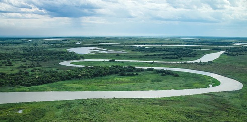 Reserva Ecológica Taiamã, no Pantanal  — Foto: Daniel Kantek/ICMBio