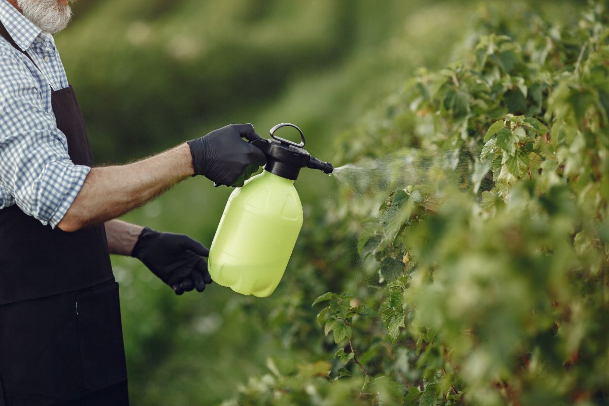 Iagro libera 15 novos agrotóxicos para venda em MS; dois são classificados como altamente tóxicos