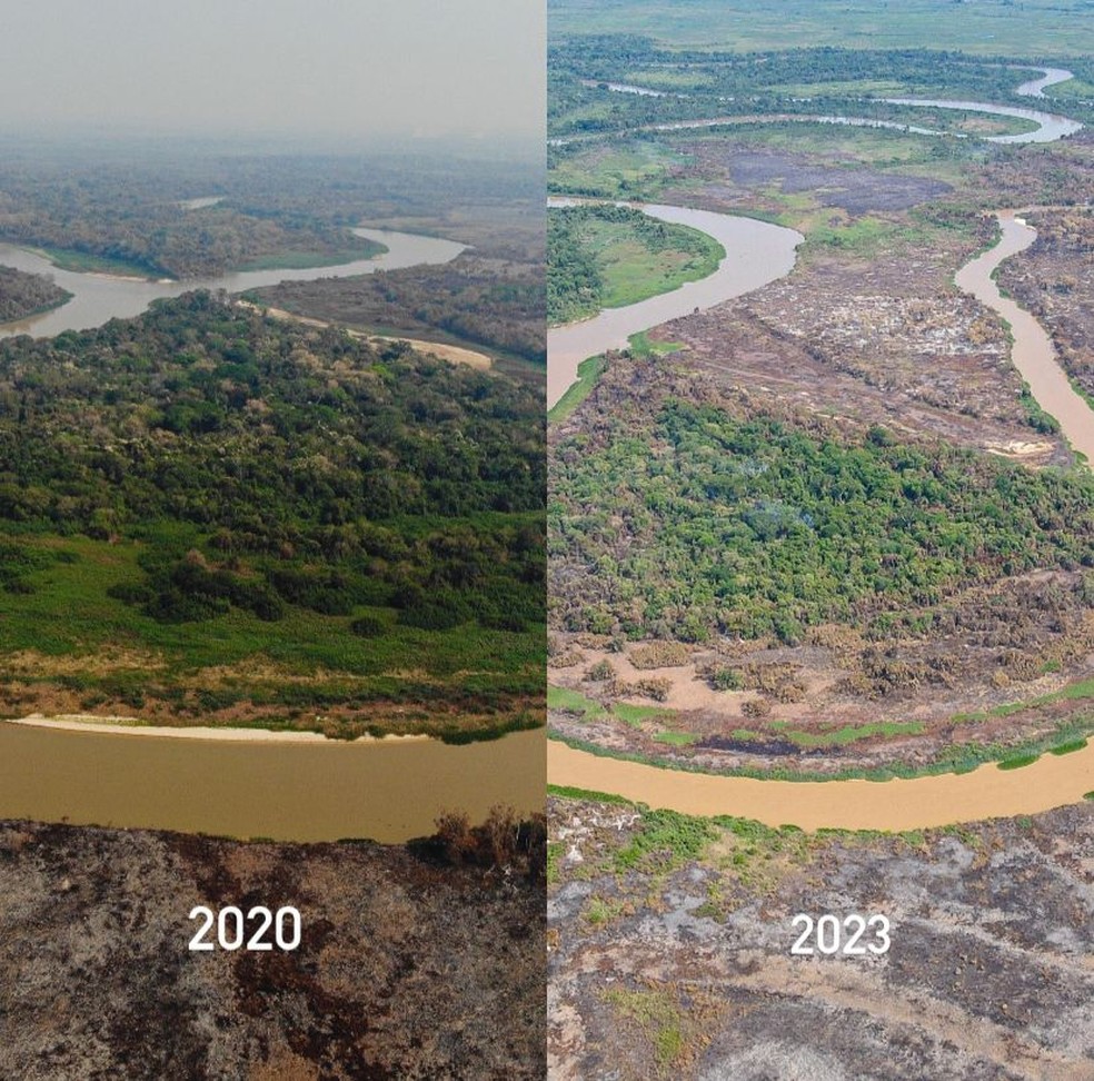 Pantanal 2020 2023  Foto: Gustavo Figueiroa