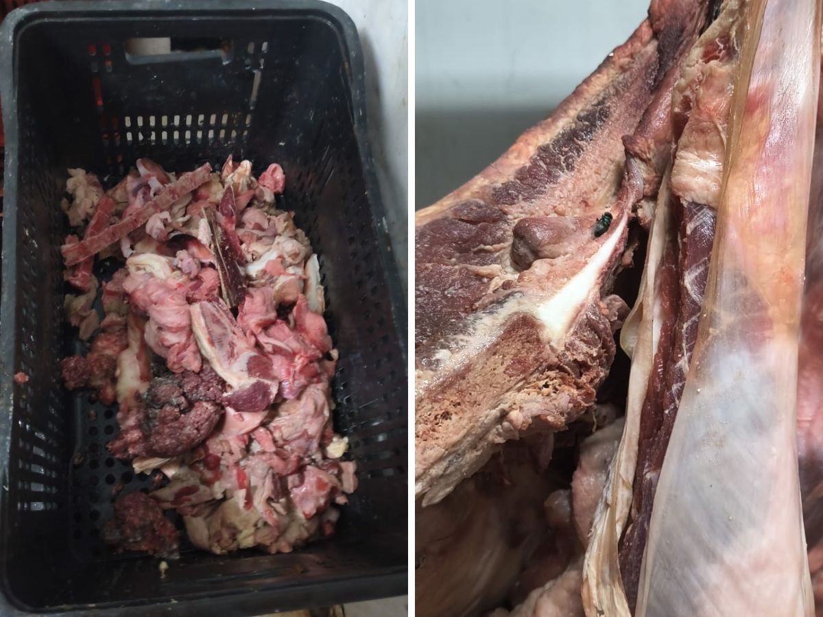 Dono de supermercado é preso após apreensão de 400kg de alimentos impróprios em Americana