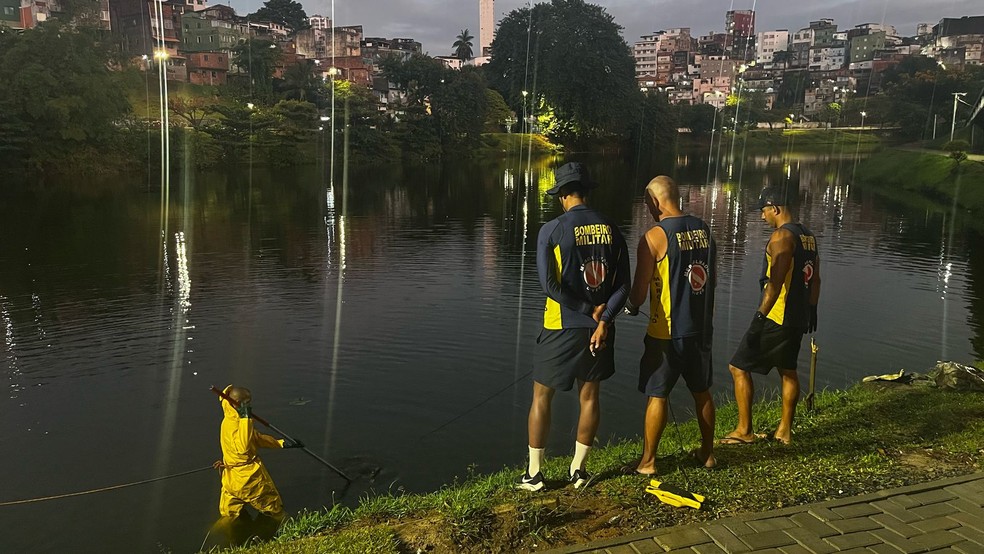 Equipes do Corpo de Bombeiros realizam buscas no Dique do Tororó — Foto: Reprodução/Redes Sociais