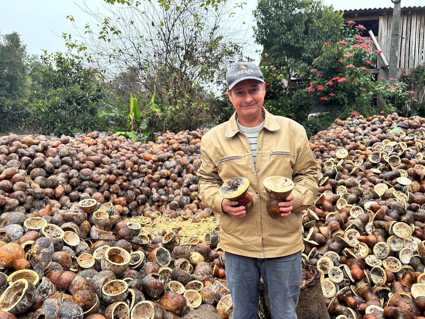 Plano Safra: produtor gaúcho usa linha de custeio para cultivo de porongos