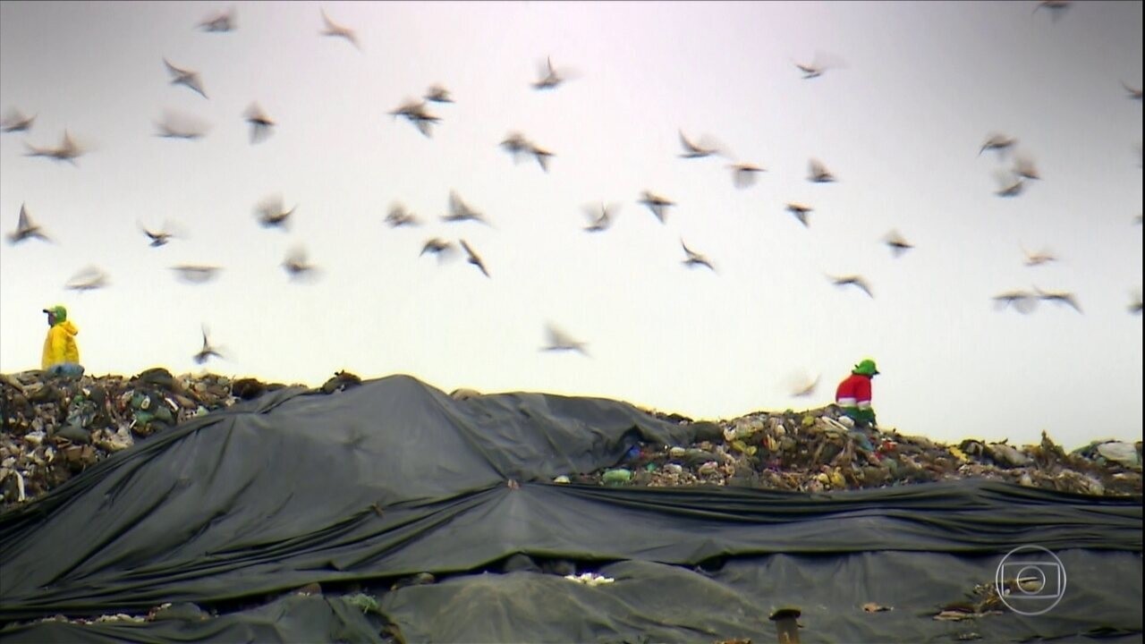 Ecograna: conheça projeto que transforma lixo reciclável em 'moeda ...