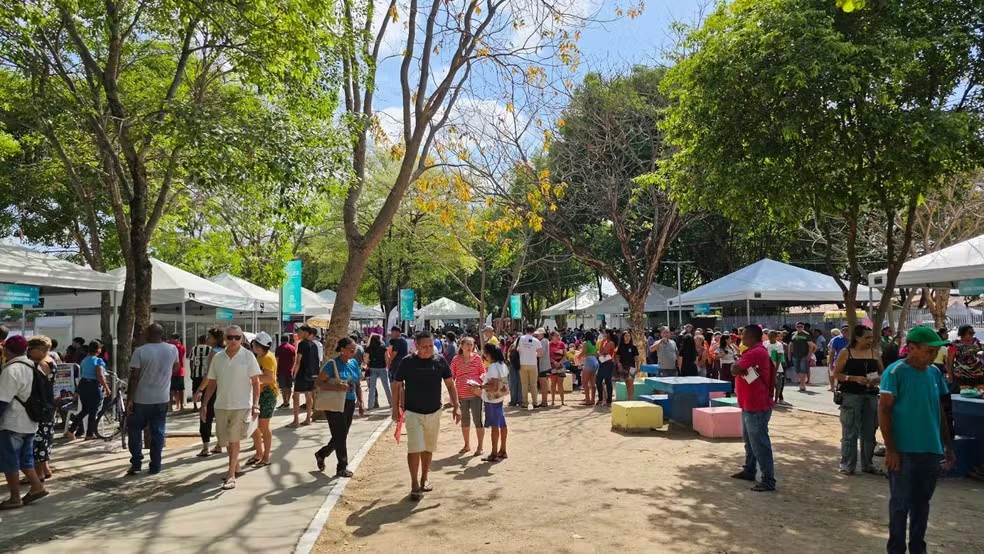 Assembleia em Ação: projeto leva serviços gratuitos à Zona Sudeste de Teresina no dia 29 de novembro