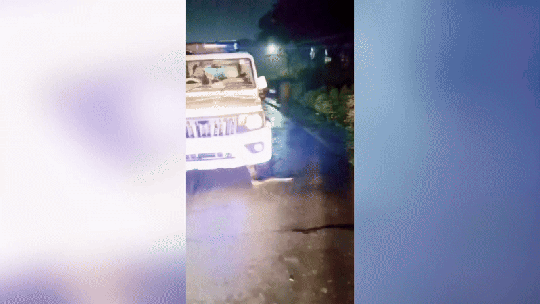Cobra píton de quase 4 metros sai de dentro de carro da polícia; VÍDEO
