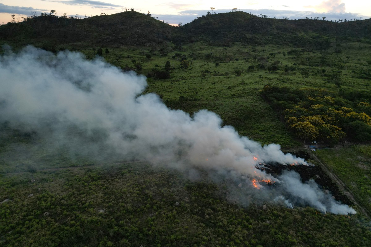 São Félix do Xingu(PA): a terra de boiadeiros onde as queimadas começam em fazendas de gado 