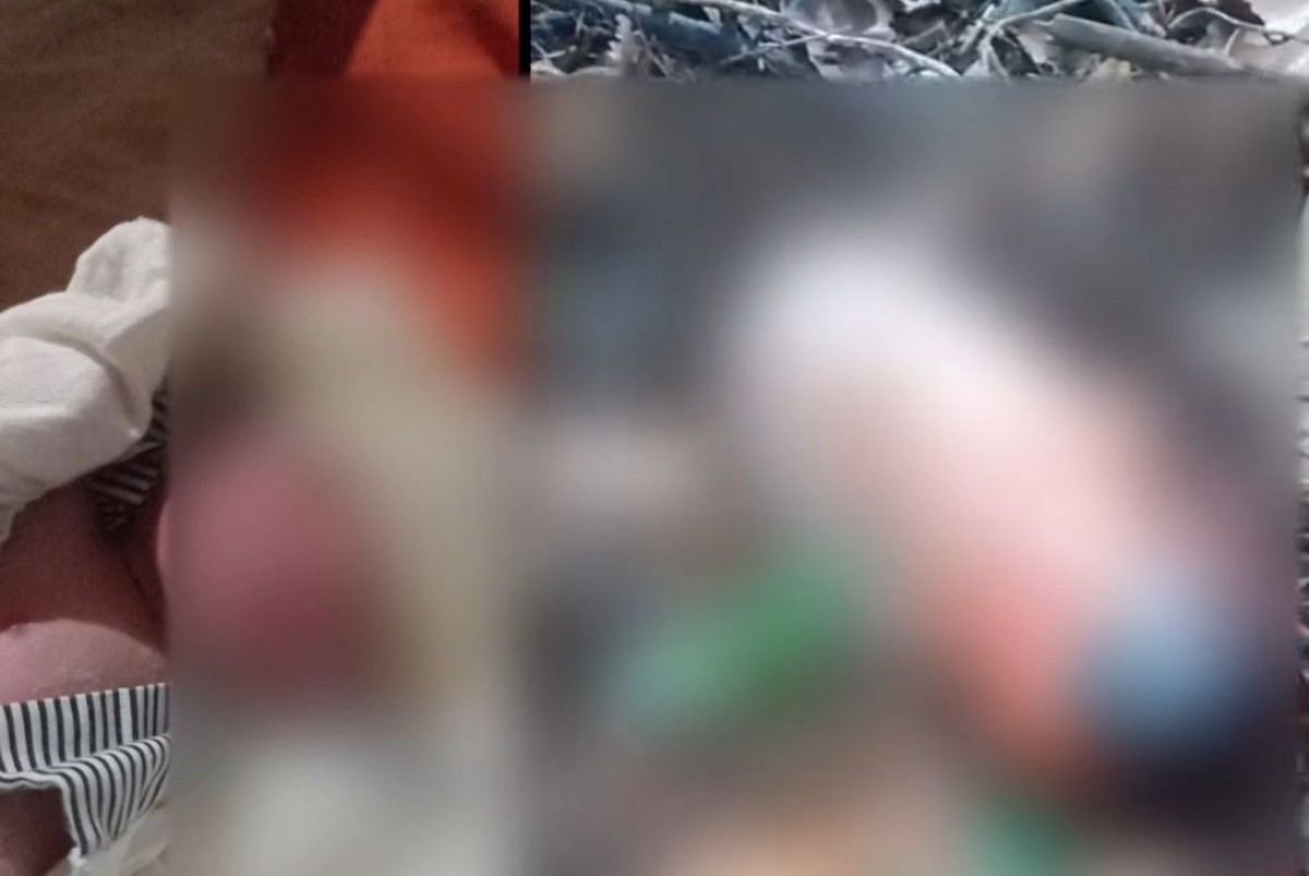 Bebê é encontrado no lixo em São Bento, no MA; polícia investiga o caso