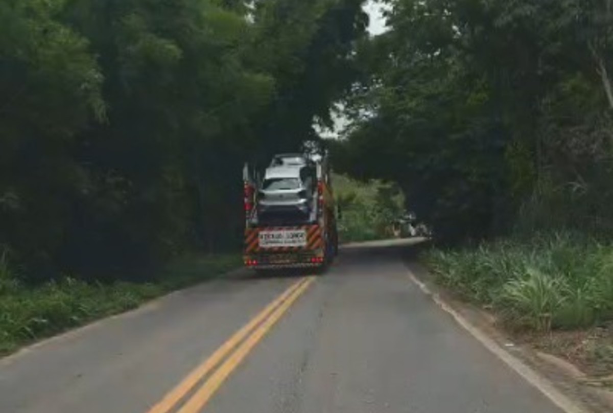 VÍDEO: Cegonheira é flagrada na contramão para desviar de galhos de árvore na MG-133