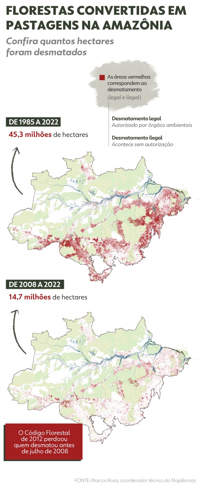 Como a Amazônia se tornou berço do maior rebanho de bois no Brasil