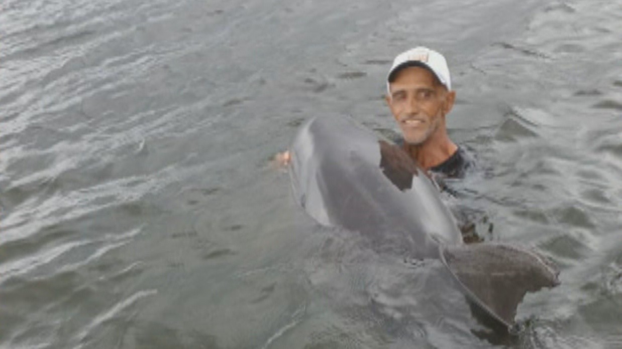 VÍDEO: pescadores salvam golfinho encalhado na Ilha do Governador