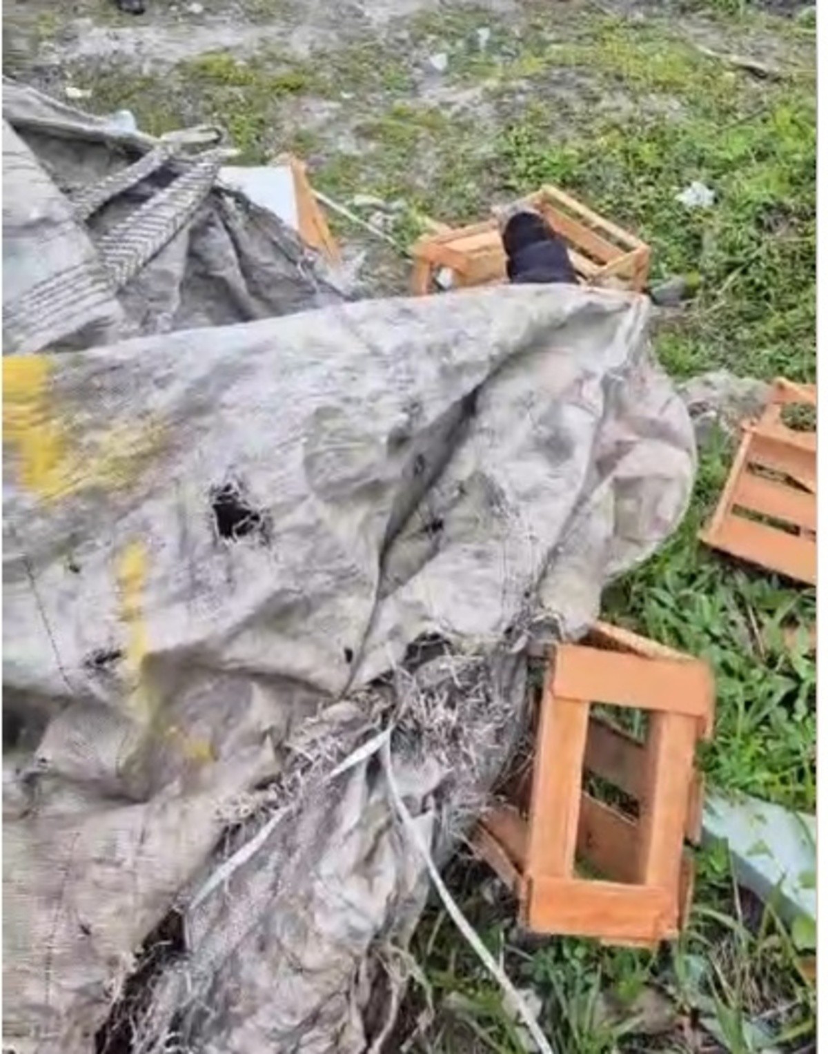 Corpo é encontrado dentro de saco em área de mata em Suzano
