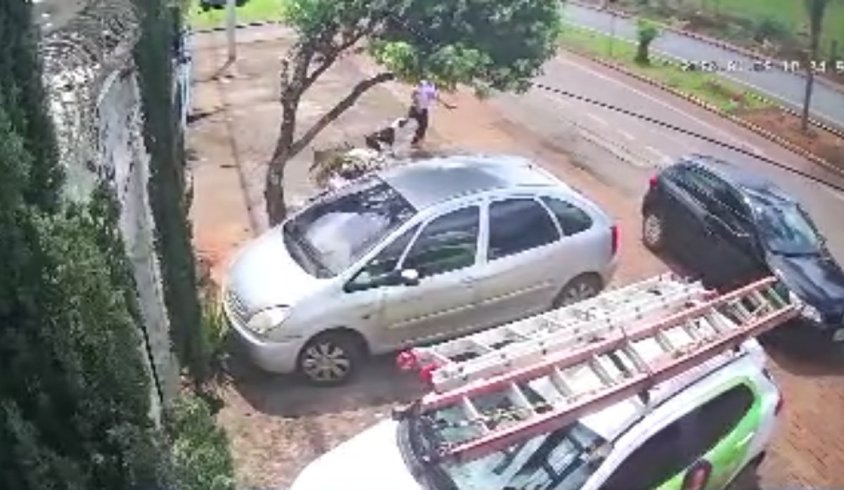 VÍDEO: Mulher é atacada por pit bull em momento que procurava por borracharia em MG
