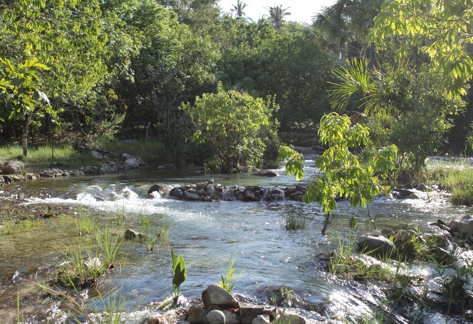 Águas cristalinas e tranquilidade: saiba como chegar ao 'Caribe do Cerrado' no TO