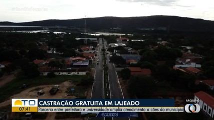 Parceria promove castração gratuita em Lajeado