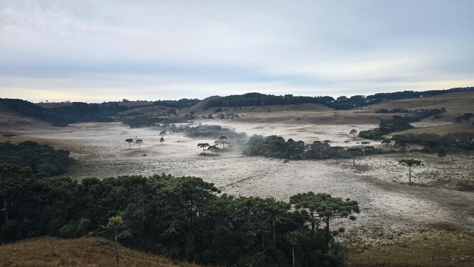 Vale dos Caminhos da Neve fica 'pintado' de branco em novo amanhecer gelado em SC; VÍDEO