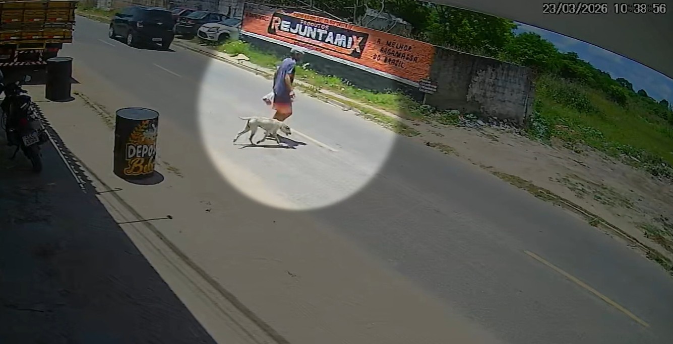 Homem é flagrado amarrando chacorro em terreno baldio em João Pessoa e é ouvido pela polícia; VÍDEO