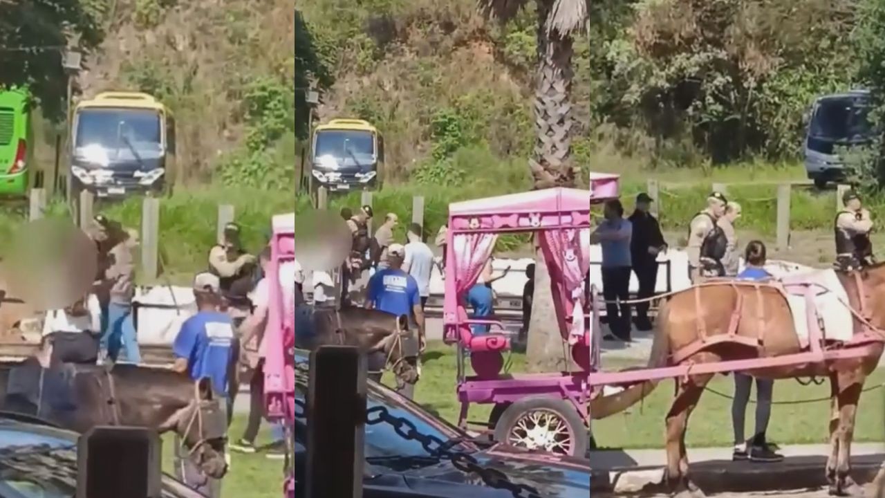 Vídeo mostra prisão de argentino após fotografar criança e enviar mensagens racistas em passeio de trem em MG