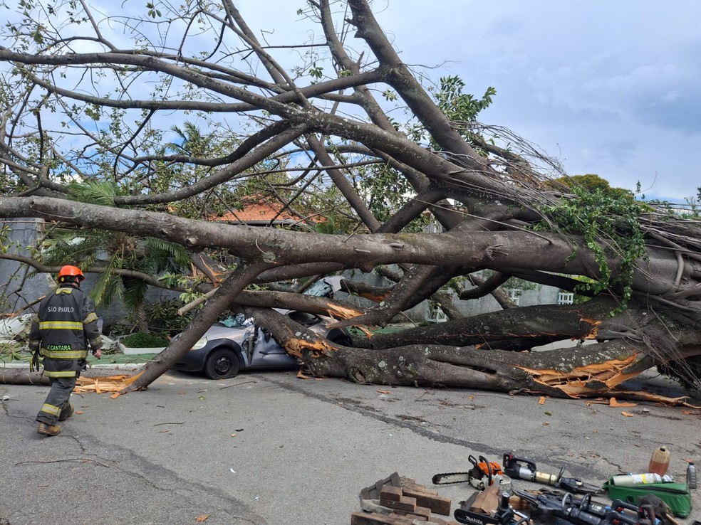 De acordo com informações do Corpo de Bombeiros, a vítima sofreu contusão na cervical, trauma de face e contusão no braço. — Foto: Corpo de Bombeiros