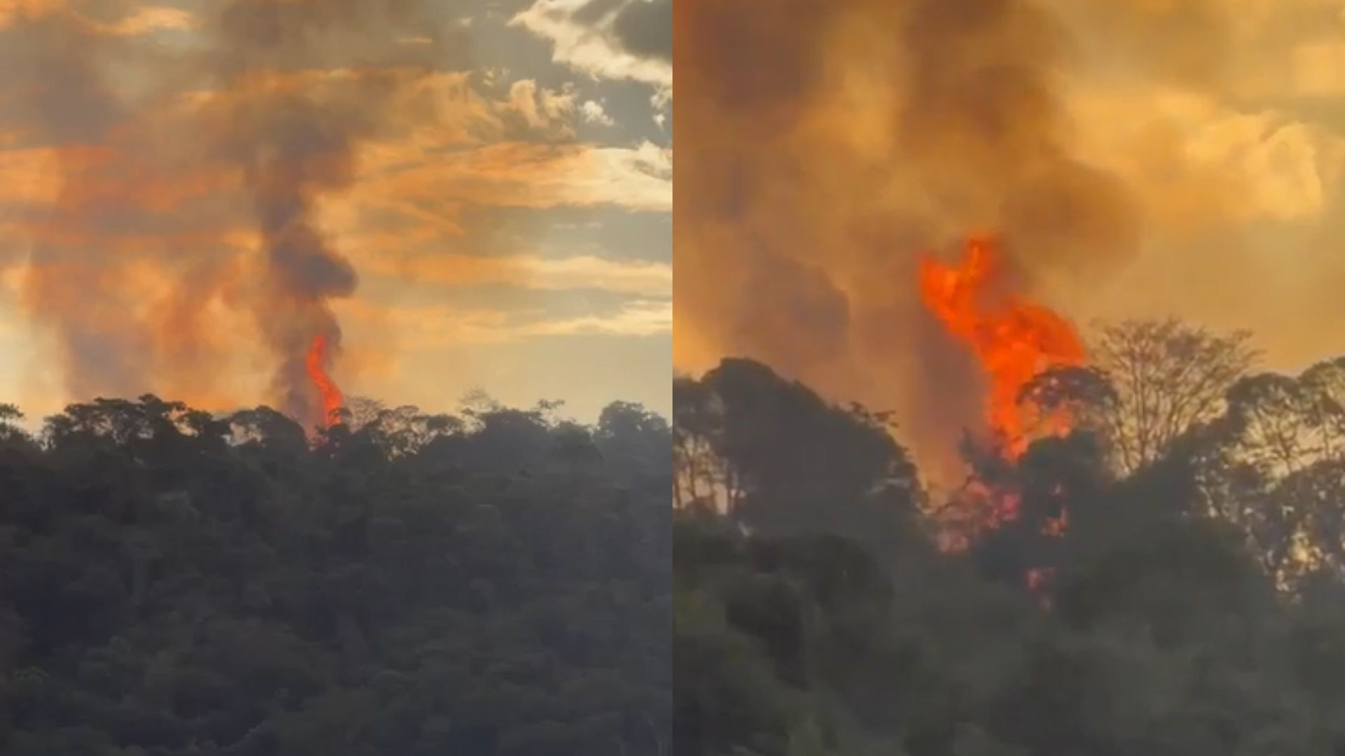 Incêndio atinge área equivalente a 56 campos de futebol às margens da BR-267 em Juiz de Fora
