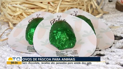 Zootecnista desenvolve ovos de páscoa para animais de estimação