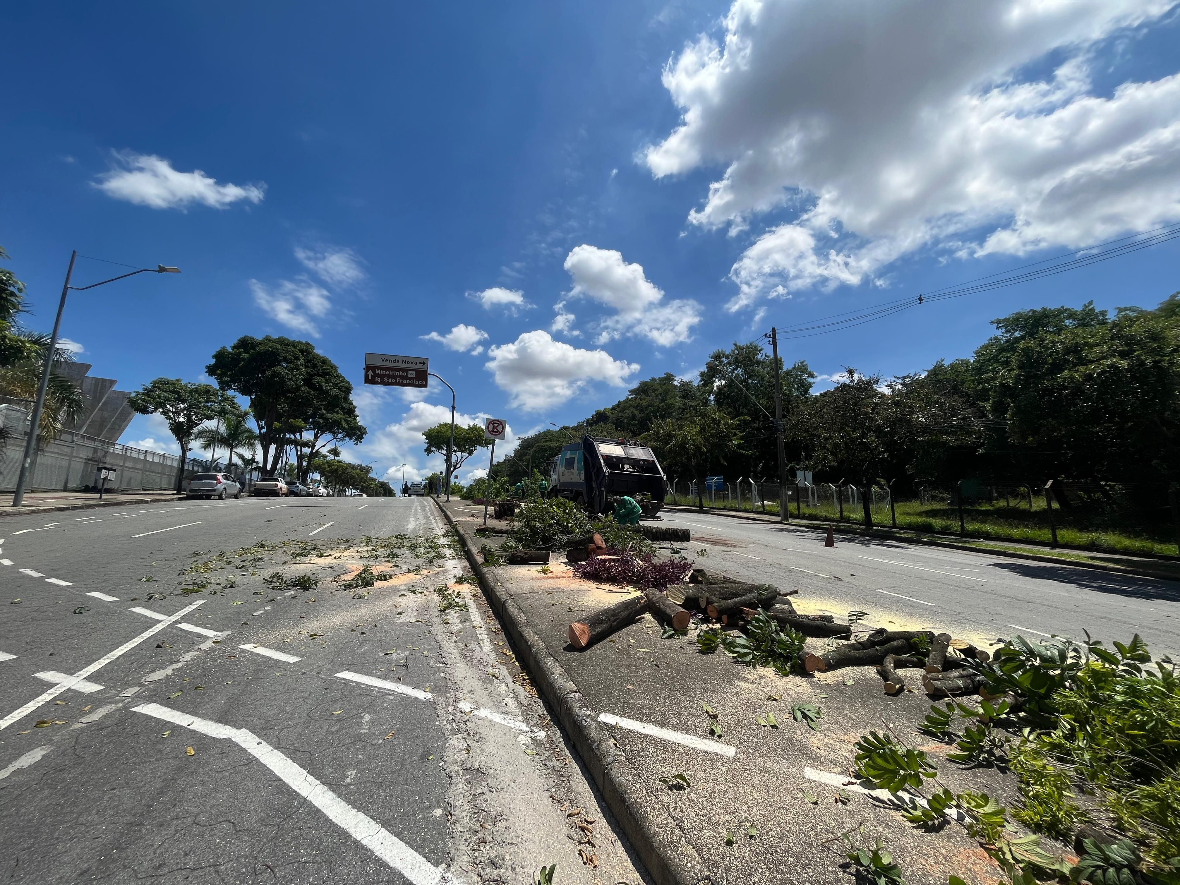 Justiça autoriza que prefeitura continue cortando árvores para competição da Stock Car