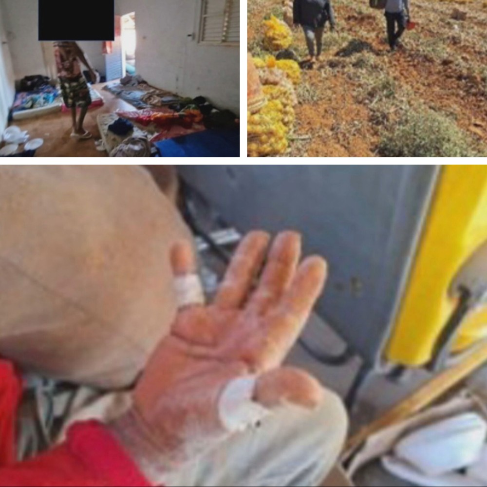 Serviço doméstico em bairros nobres de BH e fazenda de café: onde foram flagrados trabalhos análogos ao escravo em MG