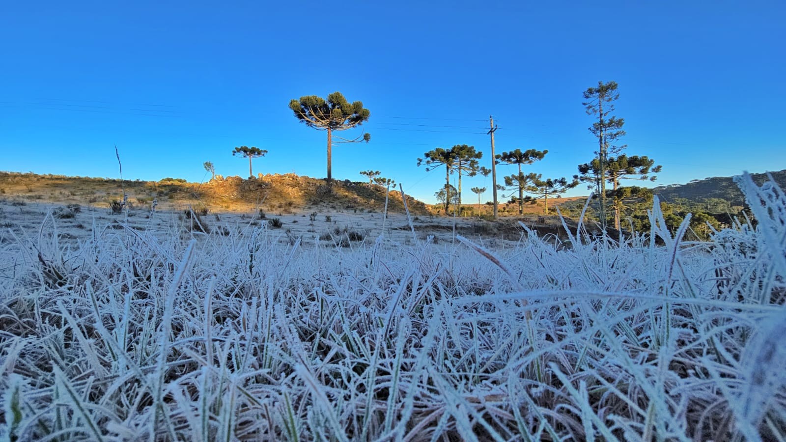 SC amanhece com formação de geada e termômetros abaixo de -3ºC; VÍDEO