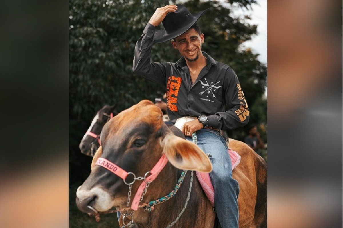 Touro querido nas redes sociais morre após castração; tutor denuncia: ‘sangrou a noite toda, era como um filho'