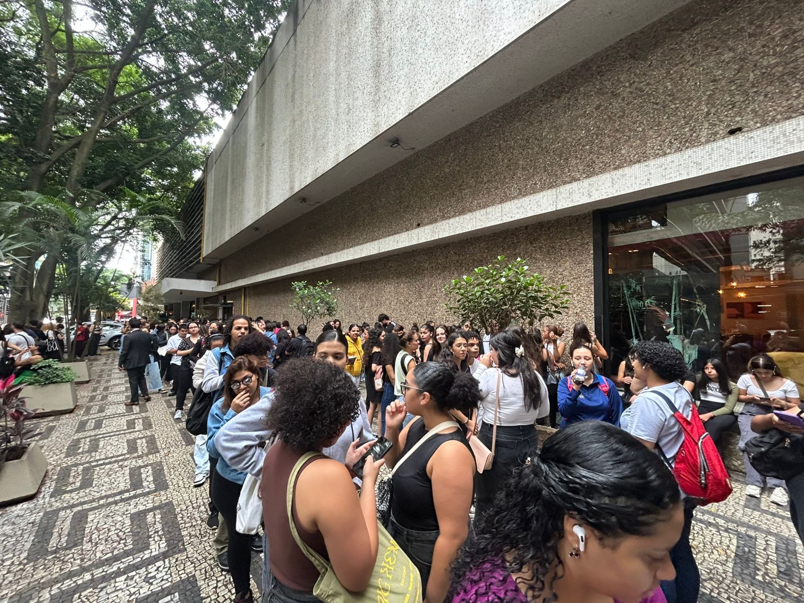 Leitores formam fila quilométrica para retirar livros gratuitos na Avenida Paulista em SP; veja obras disponíveis