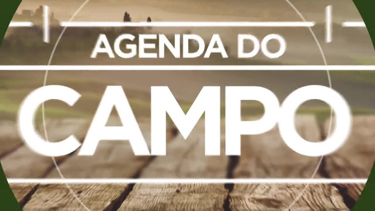 Qual é o jogo da Globo hoje? Programação do domingo - 02/07