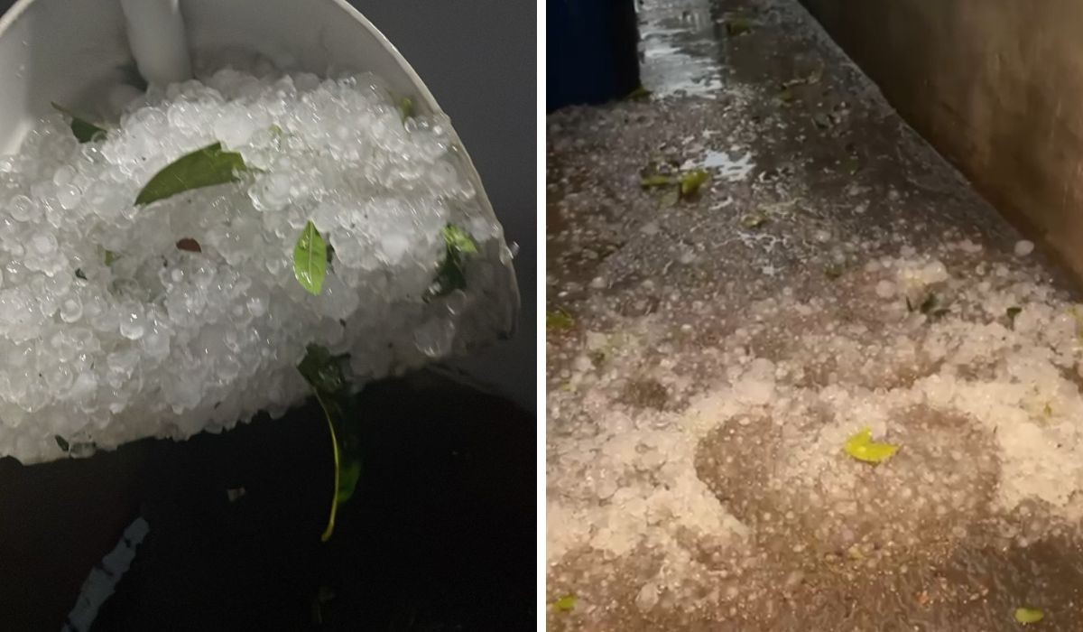 Campinas tem chuva com granizo, quedas de árvores e imóvel alagado