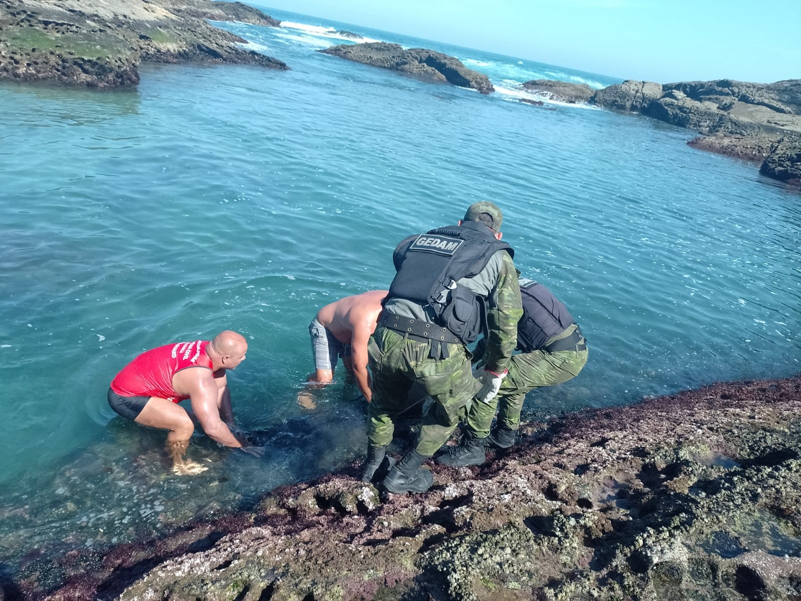 Capivara ferida é resgatada em meio às pedras no mar de Maricá, no RJ