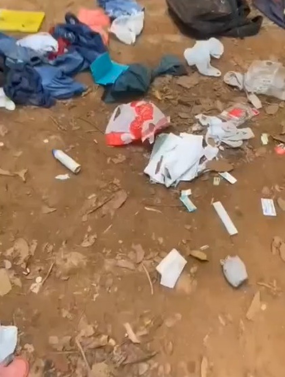 Ataque mata dois e deixa dois feridos em garimpo ilegal na Terra Indígena Sararé — Foto: Reprodução